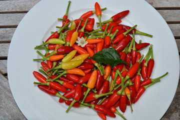 Small chili peppers on a plate