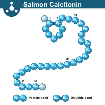 Salmon Calcitonin Hormone Structure