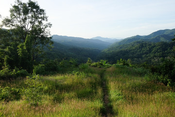 Fototapeta na wymiar mountain view at Chong-Yen, Mae-wong Nation park,Thailand