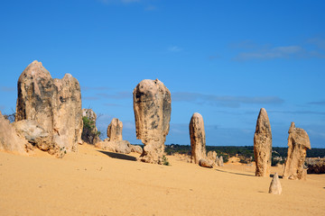 Pinnacles desert