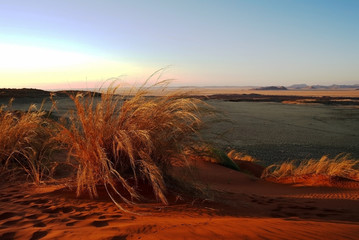 Sunset in the Namib desert.