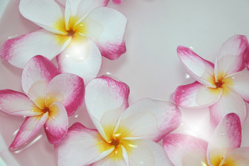 Fototapeta na wymiar Foot bath in bowl and tropical flowers