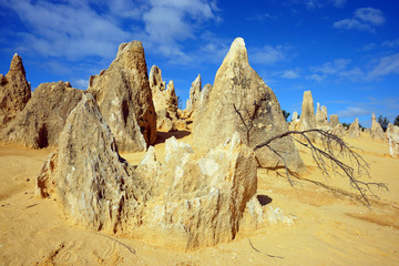 Pinnacles desert