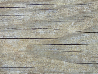 Aged gray wooden texture