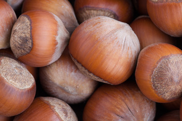 Hazelnuts in shells. Background.
