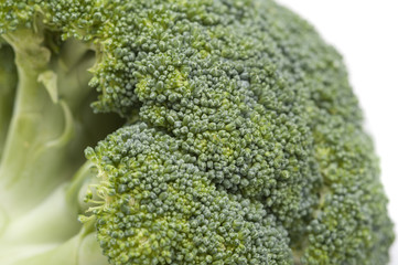 Head of fresh broccoli