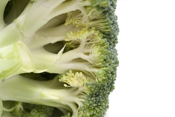 Underside of a fresh head of broccoli