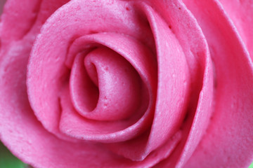 close up of rose whipped cream