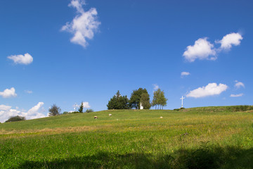 Zielone wzgórza w Bieszczadach, Polska