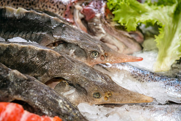 fish on the counter in the supermarket