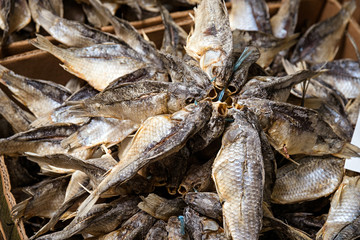 dried fish at market