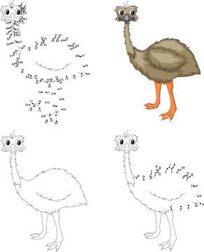 Cartoon emu. Coloring book and dot to dot game for kids