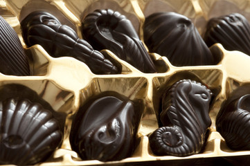  dark chocolates