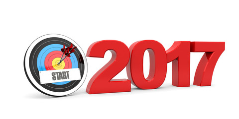 2017 / Ziele / Erfolg