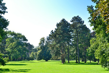 Idyllic parc scene with forest and blue sky.