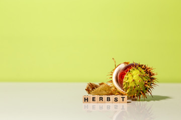 Kastanie mit Würfel Herbst, Hintergrund grün