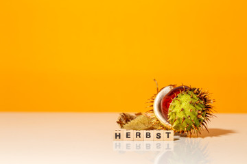 Kastanie mit Würfel Herbst, Hintergrund gelb