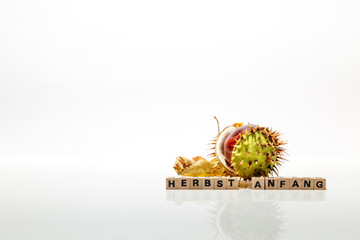 Kastanie mit Würfel Herbstanfang, Hintergrund weiss