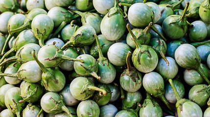 thai eggplant in the market