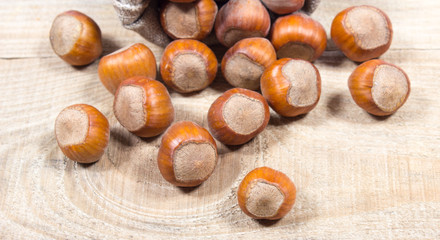 Hazelnuts close up.