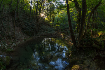Lake in the Nera National Park, Romania