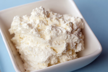 Dish of fresh cottage cheese