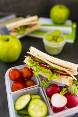 Tasty food in plastic lunch box on dark background. Bento box .
