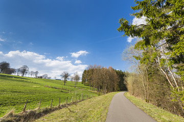 Fototapeta na wymiar Vennbahnweg Near Monschau, Germany