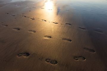 beach sand footprints in the setting sun