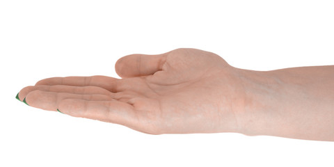 Open hand showing anything, natural female's skin, green manicure. Isolated on white background