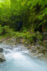 Mountain stream of Japan