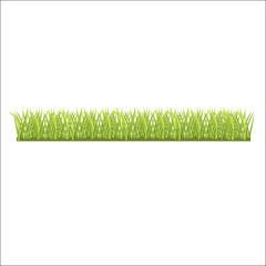  row of fresh green grass for you