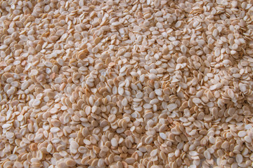 Background of crack shell watermelon seed