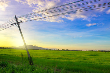 Fototapeta na wymiar A silhouette of power lines and pole on the left against a dramatic and colorful sky at sunrise or sunset with flaring on a green rice field with copyspace on the right