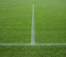 Fototapeta na wymiar Part of soccer field with horizontal and vertical lines