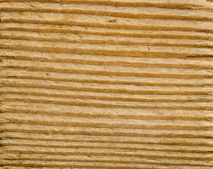 Abstract wooden macro background. Slice of wood timber natural