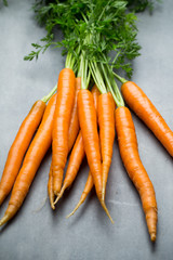 Fresh carrots on the gray backgrounds.