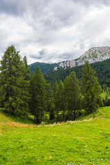 landscape of the Alps