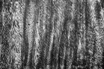 Old wood background texture.