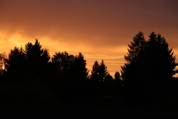 Fototapeta na wymiar Sonnenaufgang hinter Bäumen