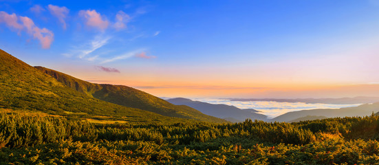 Naklejka na ściany i meble Picturesque sunrise morning in mountains above clouds, Carpathians, panoramic view, Ukraine.
