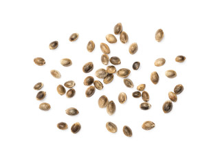 Some hemp seeds spread out on white background seen from above