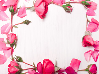 frame of pink flowers on a white background.Flat lay, top view