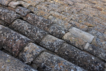 Tuiles anciennes couvertes de mousse sur un toit