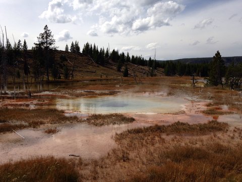 parco di yellowstone