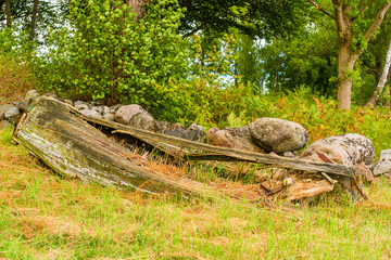 Fototapeta na wymiar Very old rotting boat lying on dry land wasting away. Nature is slowly reclaiming the material in the abandoned vessel.
