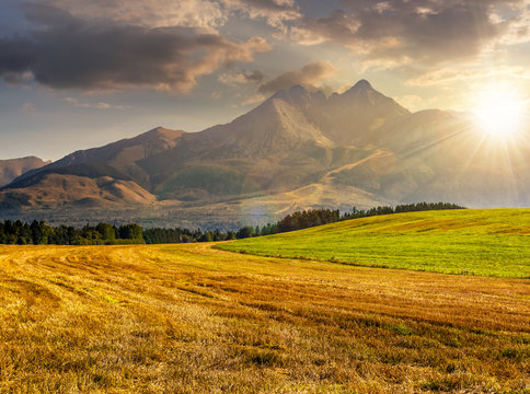 rural field in Tatra mountains  at sunset