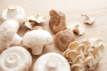 Varieties of fresh edible mushrooms