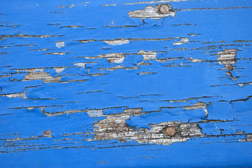 Alter, maritimer Holz / Treibholz Hintergrund in blau, Textur, Textfreiraum 