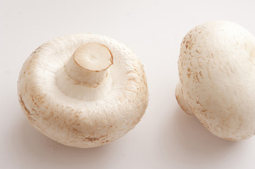 Two isolated white mushrooms